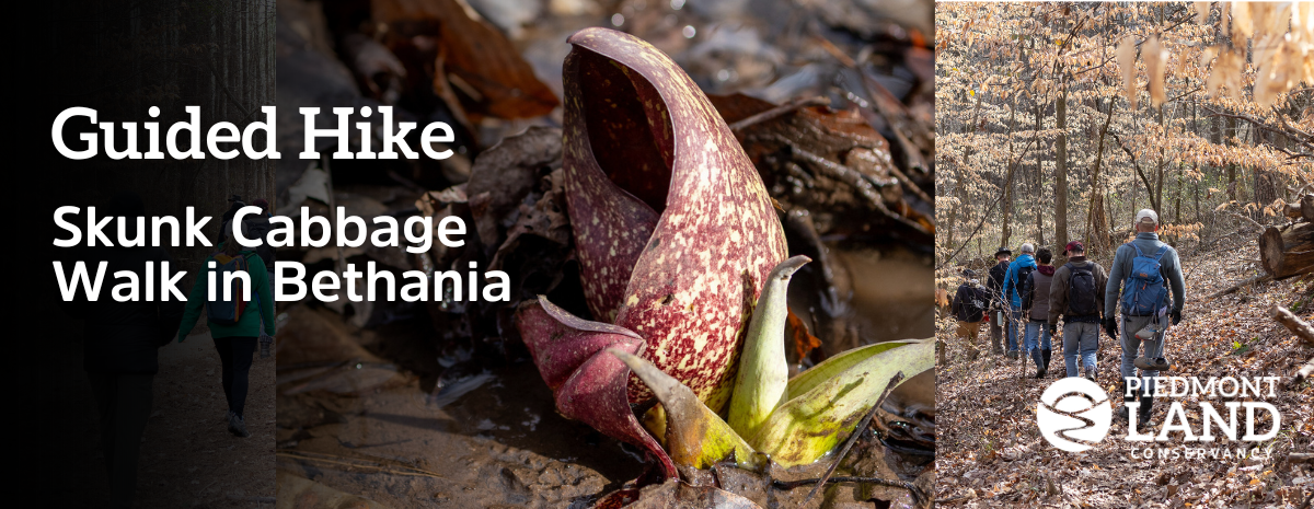 Slow Hikers Club on the Rueter Trail in Bethania